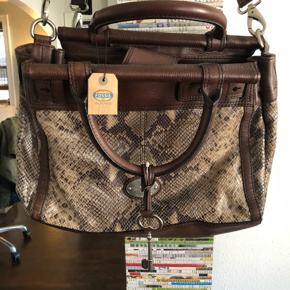 fossil snakeskin purse
